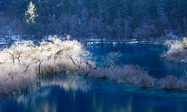 winter jiuzhaigou scenery