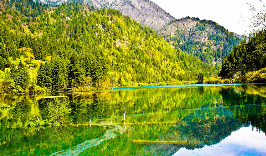 jiuzhaigou in spring